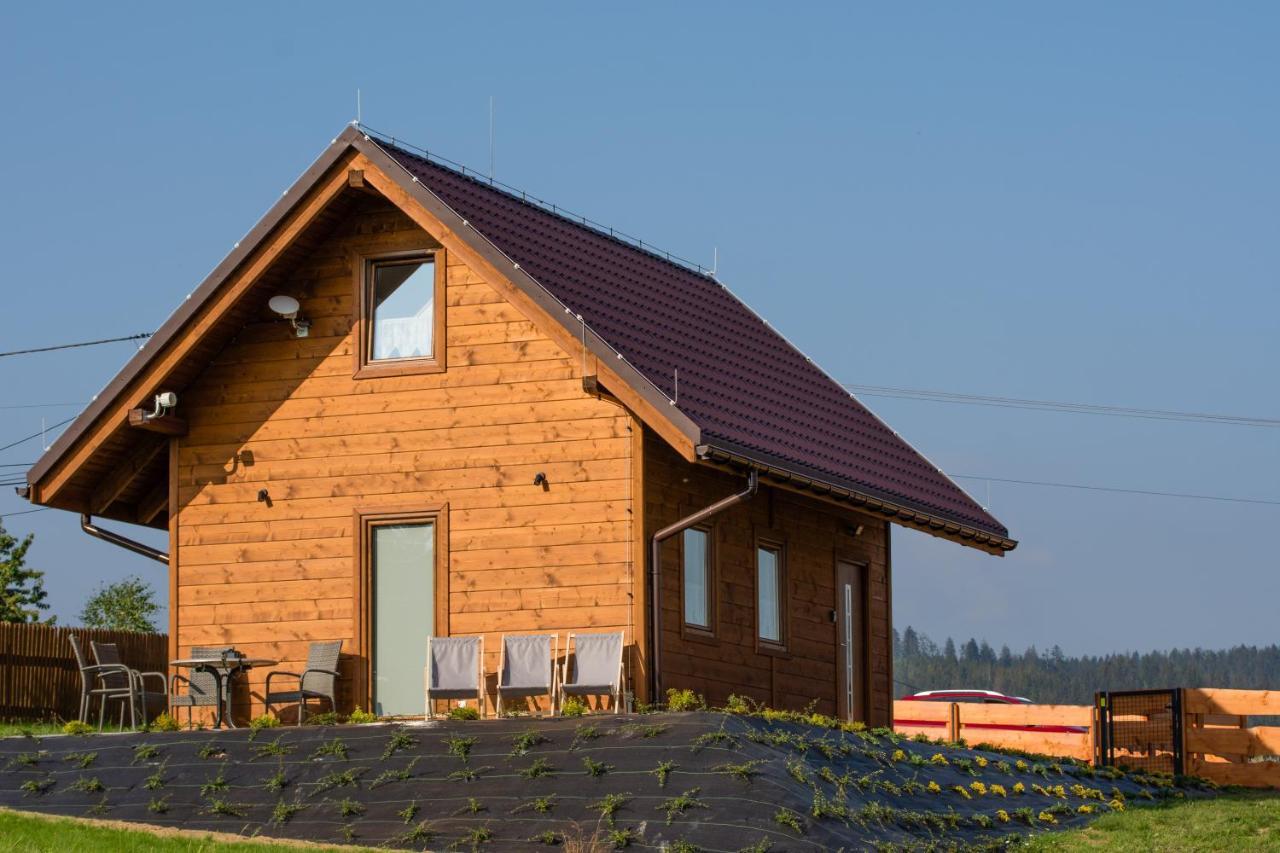 U Jana I Wita Villa Istebna Ngoại thất bức ảnh
