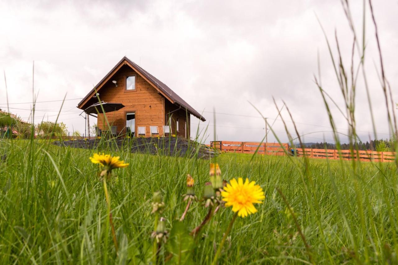 U Jana I Wita Villa Istebna Ngoại thất bức ảnh
